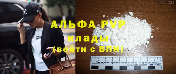 дживик Вязьма