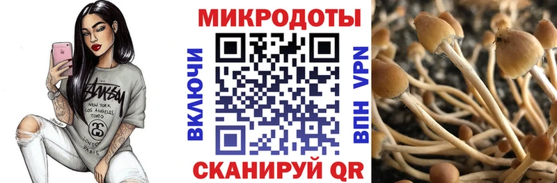 Псилоцибиновые грибы GOLDEN TEACHER  Батайск 